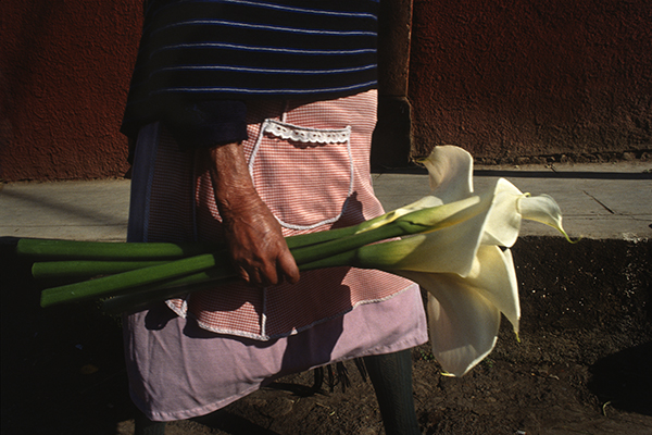 Mexico series